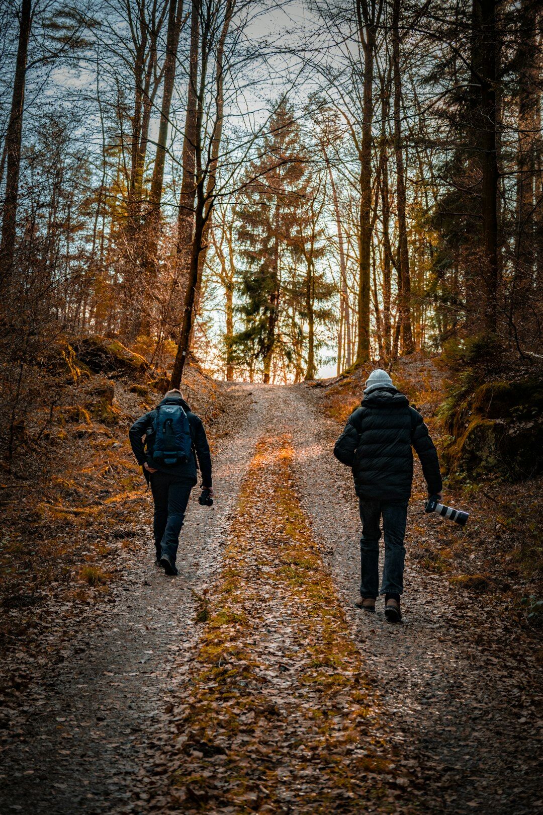 seniors hiking in nature